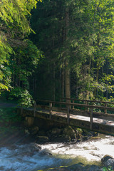 Holzbrücke mit Bach und Wald