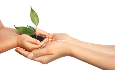 Woman and her child holding soil with green plant in hands on white background. Family concept