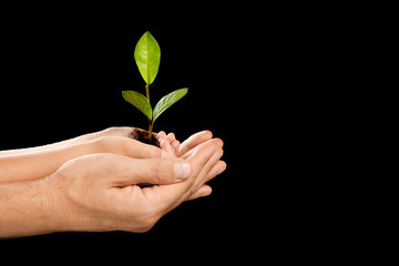 Man and his child holding soil with green plant in hands on black background. Family concept