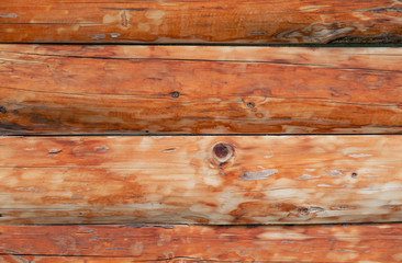 Old wood as a background for design.