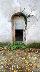 Backdoor castle entrance through partially broken and overgrown wooden doors with concrete yard in front covered with plants and fallen brown autumn leaves