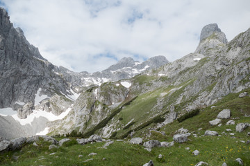 baeutiful spring mountain alpine nature