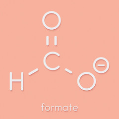Formate anion, chemical structure. Skeletal formula.