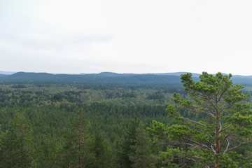 Fototapeta premium Borovoe, Burabay, spruce, mountains