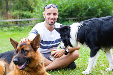 Border collie and german shepherd herding dog breed