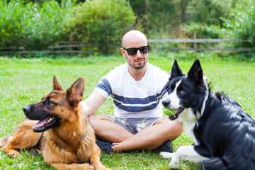 Border collie and german shepherd herding dog breed