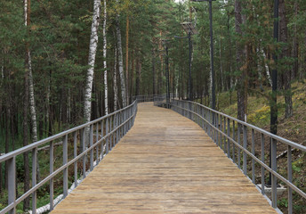 Borovoe, Burabay, spruce, birch, wooden bridge