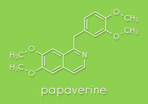 Papaverine opium alkaloid molecule. Used as antispasmodic drug. Skeletal formula.