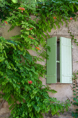 Fototapeta na wymiar Pastel green window shutter in Ansouis, Provence, France