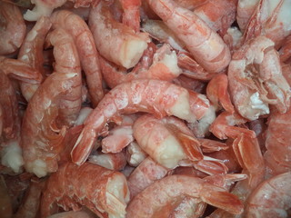 fresh king prawns frozen