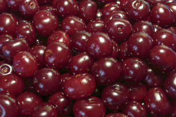 Full Frame Shot Of Red Cherries. Cherries background. Cherry with drops. Food background.