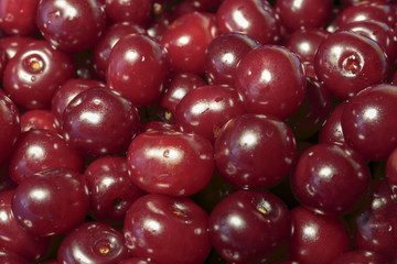 Full Frame Shot Of Red Cherries. Cherries background. Cherry with drops. Food background.