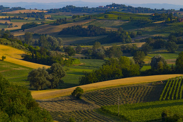 Fototapeta na wymiar Awesome view on piedmont landscape in a sunny day, italy.