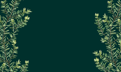 Elegant tropical leaves