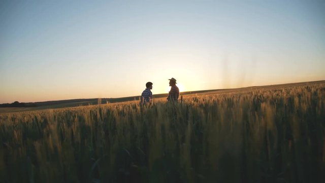 Old father and son stand in wheat field and look on sunset. 4K
