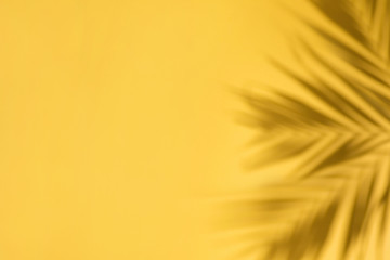 Yellow abstract background with shadows of palm leaves