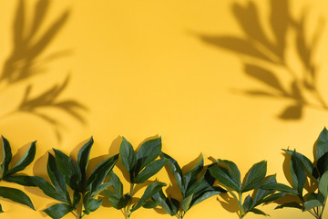 Fototapeta na wymiar Top view of green tropical leave Monstera on blue and yellow background. Flat lay. Summer concept with palm tree leave, copyspace