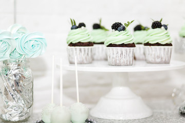Delicious cakes with beautiful green cream and berries for Christmas