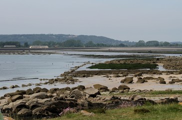 parcs à huîtres à Saint-Vaast-la-Hougue devant l'île de Tatihou,Normandie,Cotentin,Manche