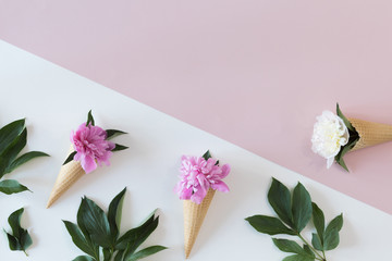 Top view of waffle cones with peony flowers on pastel pink and white background, flat lay