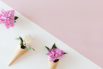 Top view of waffle cones with peony flowers on pastel pink and white background, flat lay