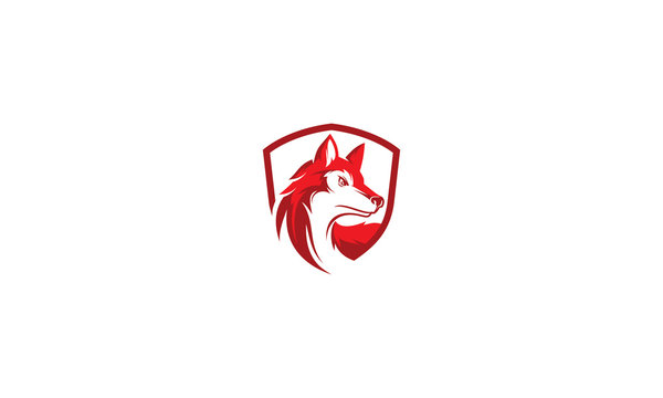 wolf shield vector logo icon