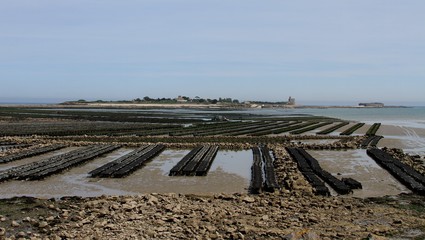 parcs à huîtres à Saint-Vaast-la-Hougue devant l'île de Tatihou,Normandie,Cotentin,Manche