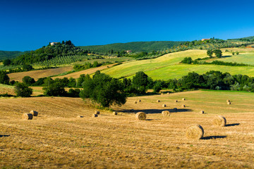 Typical tuscan country panorama near Massa Marittima (GR), Italy