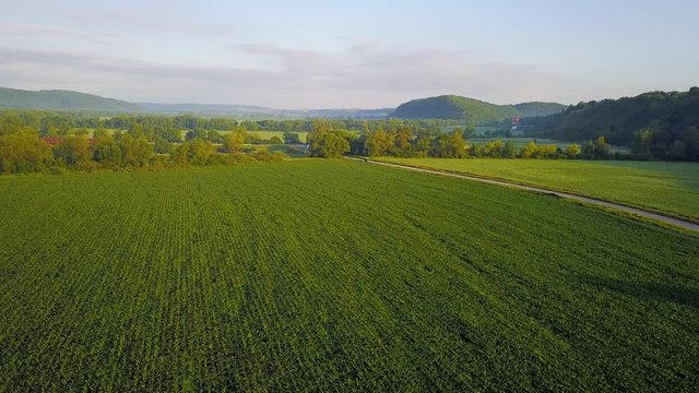Aerial view at the field. Agricultural landscape at the summer time