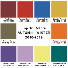 Top 10 Colors Winter  2019. Trendy colors of a season.