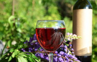 Red wine being poured into wineglass on background of green growing grape.
