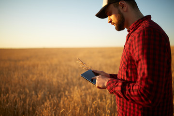 Smart farming using modern technologies in agriculture. Man agronomist farmer with digital tablet...