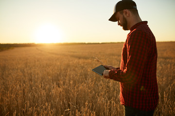 Smart farming using modern technologies in agriculture. Man agronomist farmer with digital tablet...