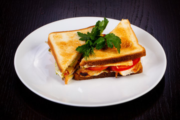 Delicious chicken sandwich
