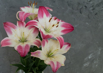 Bouquet with dew on lily flowers