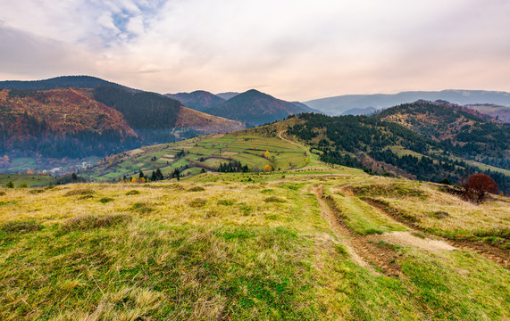 mountainous landscape of Mizhhirya district. lovely countryside scenery on a hazy and overcast day. country road down the hill in to the rural area