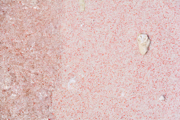 Coral on Pink Sand at Pink Beach in Komodo National Park, Indonesia