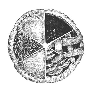 Hand drawn pies. Top view homemade a piece of sliced apple, chicken, yam, chocolate, pumpkin and pecan pies.