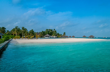 The perfect beach. Beach bungalow. Luxury escape. Tropical paradise. Honeymoon at Maldives. Palms and white sund. Blue ocean	