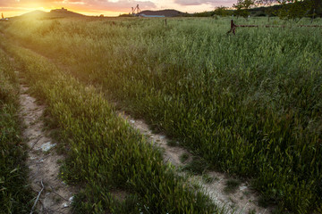 Dirt track leading uphill to cloudy orange sunset