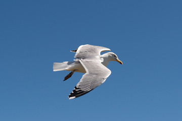 Snowdonia National Park in Northern Wales taken in June 2018