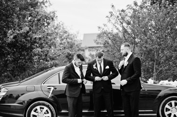 Groomsmen and bridesmaids posing outdoors next to the car. Black and white photo.