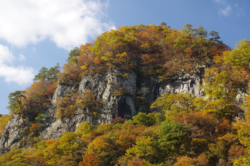 Obraz premium Agatuma Valley autumn leaves