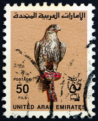 Postage stamp UAE 1990 Falcon, Bird of Prey