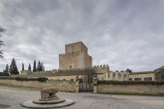 Castillo y verraco de Ciudad Rodrigo en Salamanca 