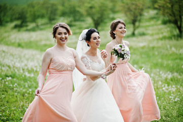 Beautiful bride posing with bridesmaids on the field full of flowers on the wedding day.