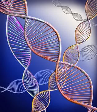 DNA strands, illustration