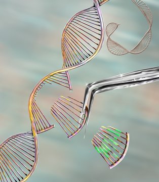 CRISPR gene editing, conceptual illustration