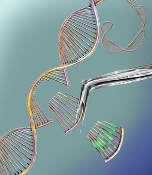 CRISPR gene editing, conceptual illustration