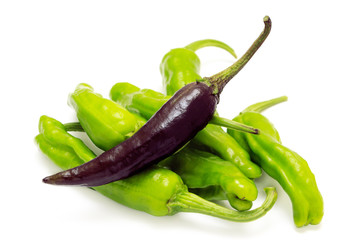 Japanese vegetable in summer